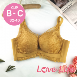 【NO.9270】洛琪花園美胸立挺收副乳軟鋼圈內衣  B/C杯 32-38